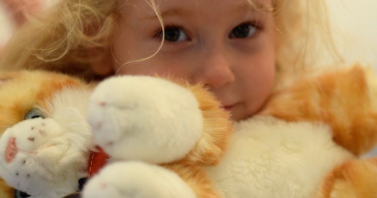 ginger cat plush toy