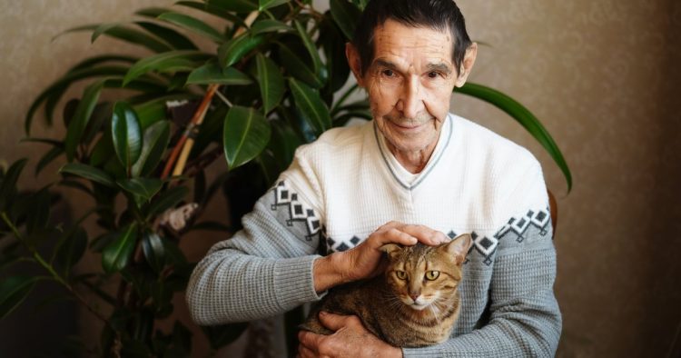 elderly man cat shelter