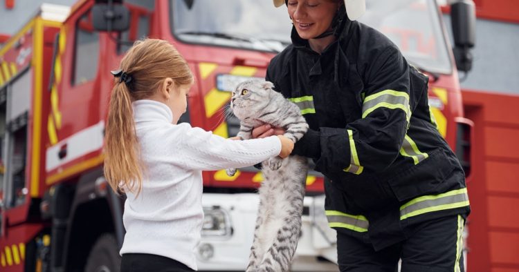 animal rescue operation