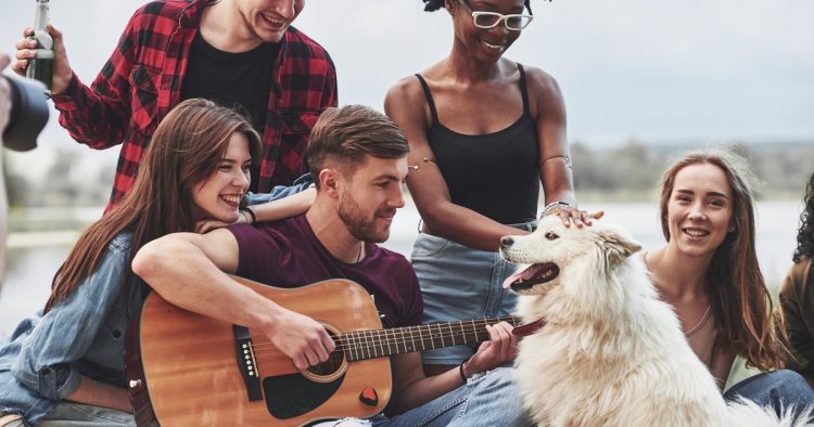 dogs band performance