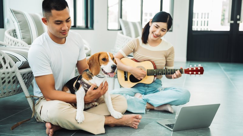 puppies performing music