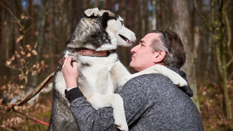 man rescuing husky dog