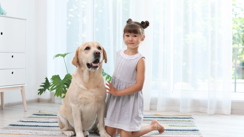 dog and child indoor