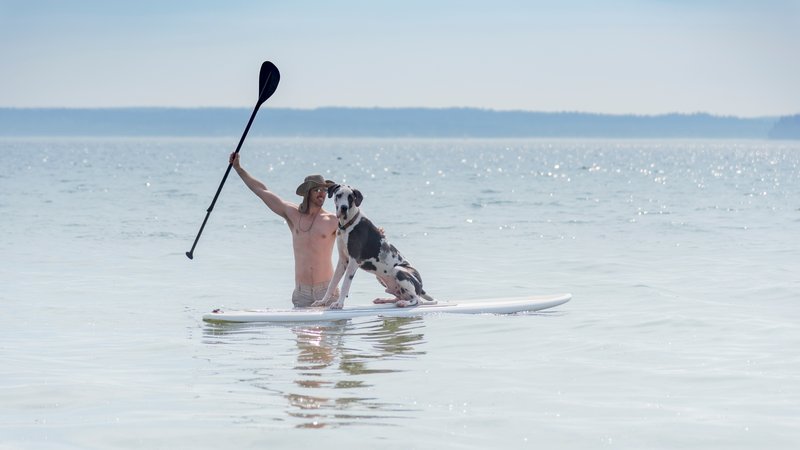 paddleboarders helping dog