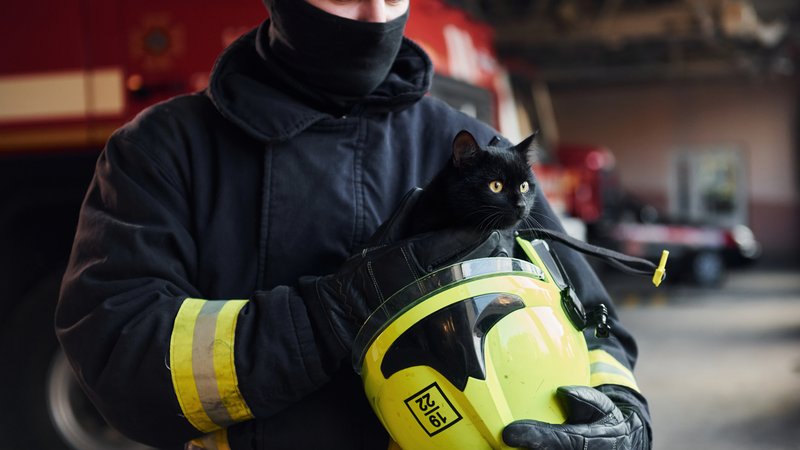 cat adoption by firefighter