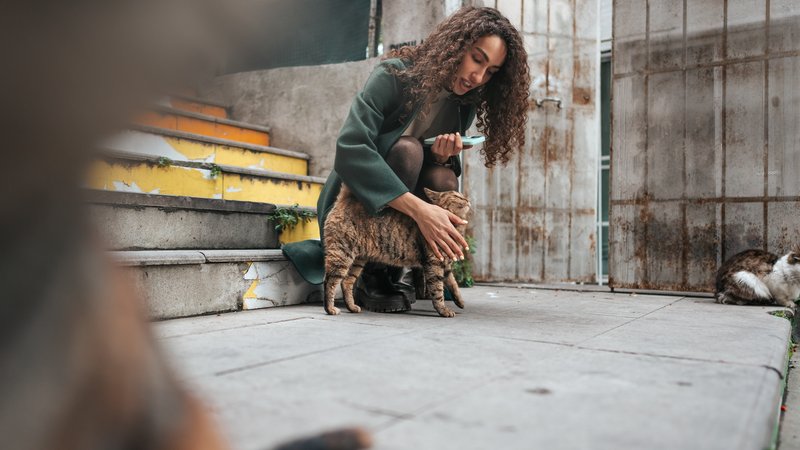 homeless shelter with pet