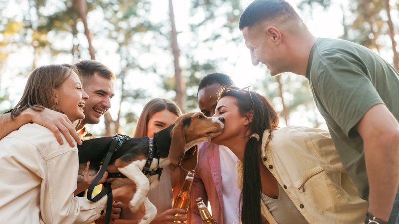 dog reunion with owner