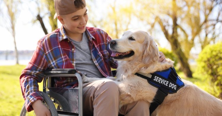 service dog assistance