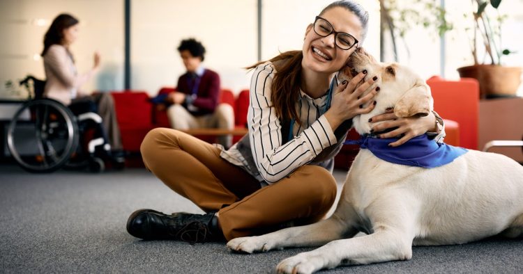 emotional support dog
