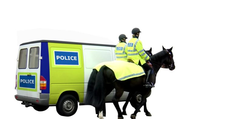police horse