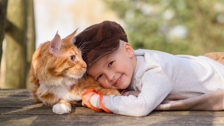 boy with cat