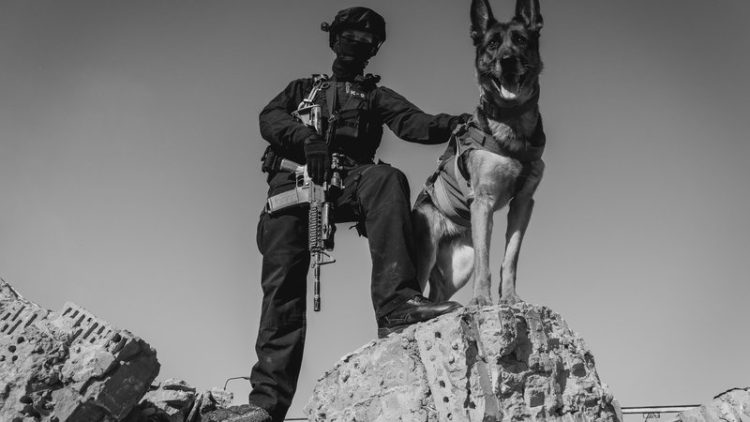 war dog memorial statue