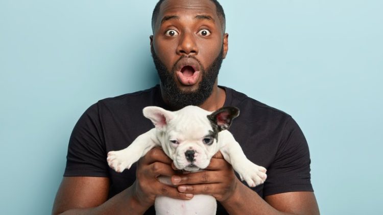 surprised man with animal