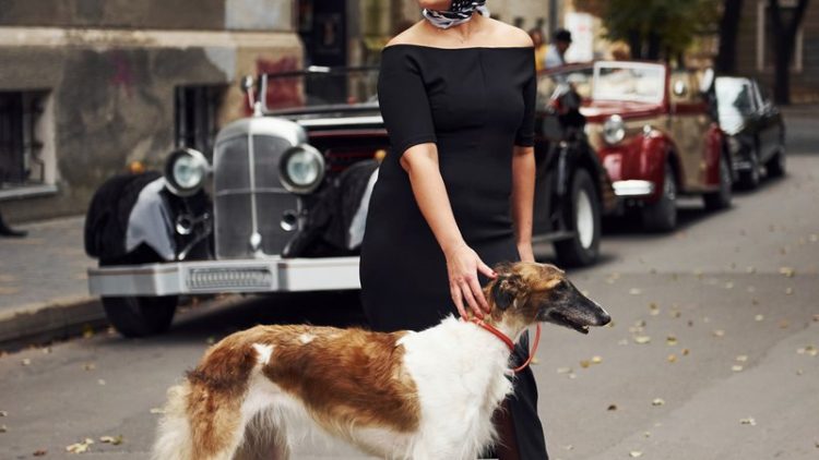 vintage dog owner photo