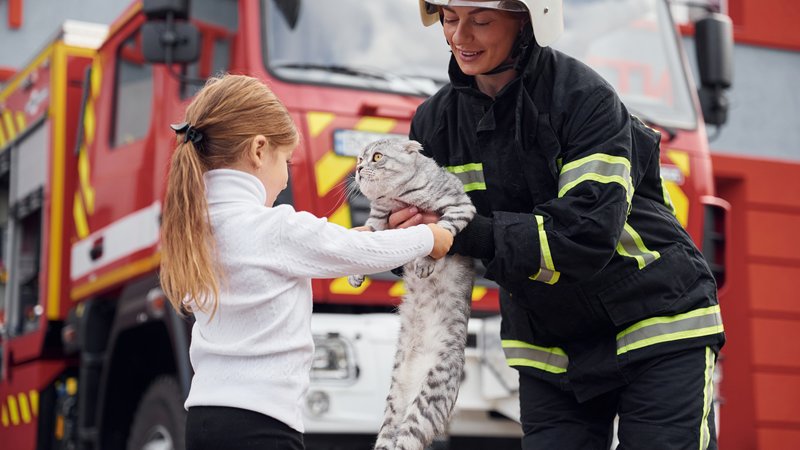 cat rescue operation