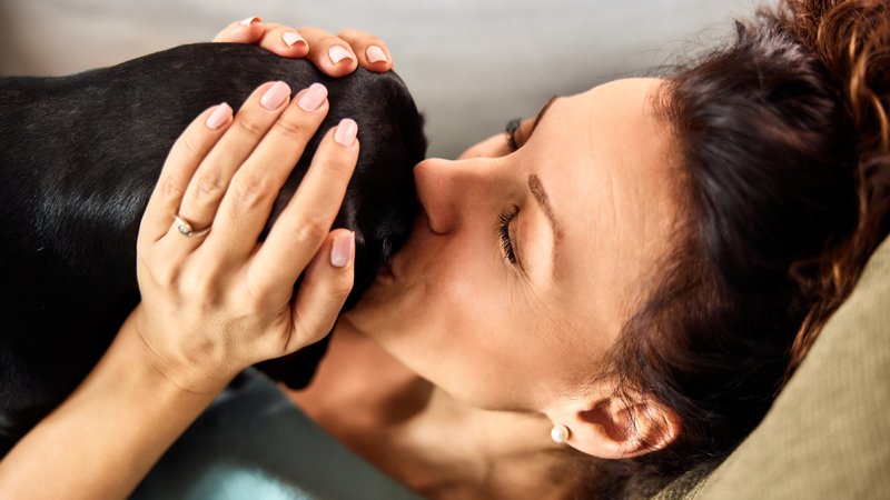 dog licking woman