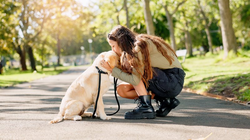 service dog assisting owner