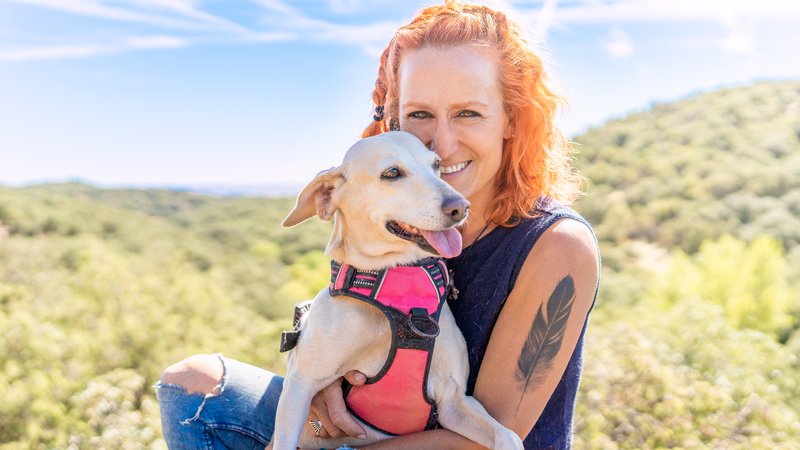 dog adoption in Vaucluse