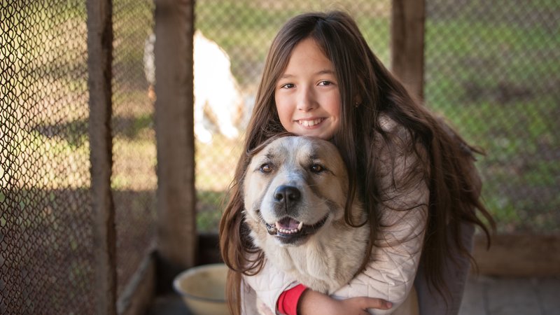 animal rescue shelter