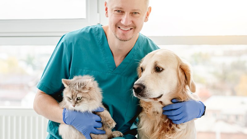 veterinarian with pet