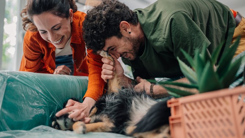 animal rescue volunteers