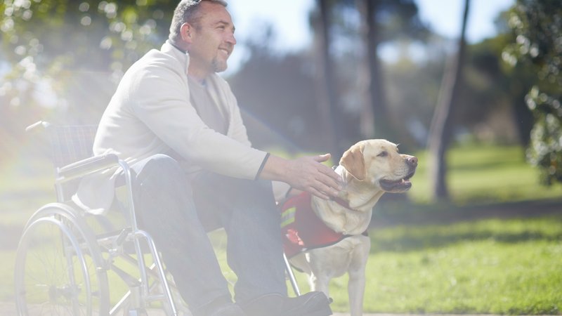 public access with assistance dog