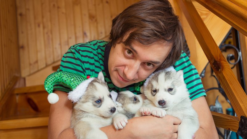 man rescuing puppies at night