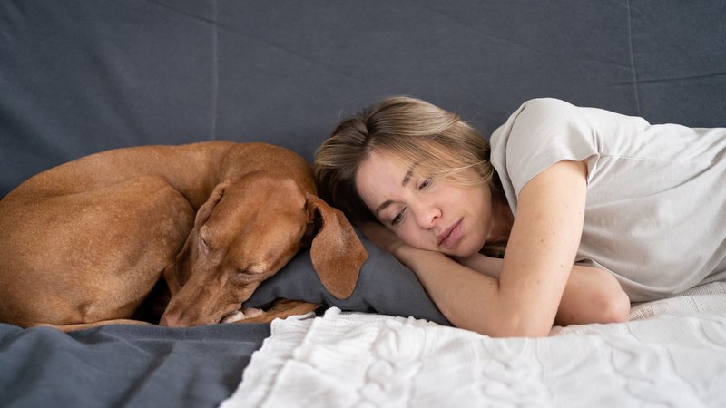woman sleeping peacefully with dog