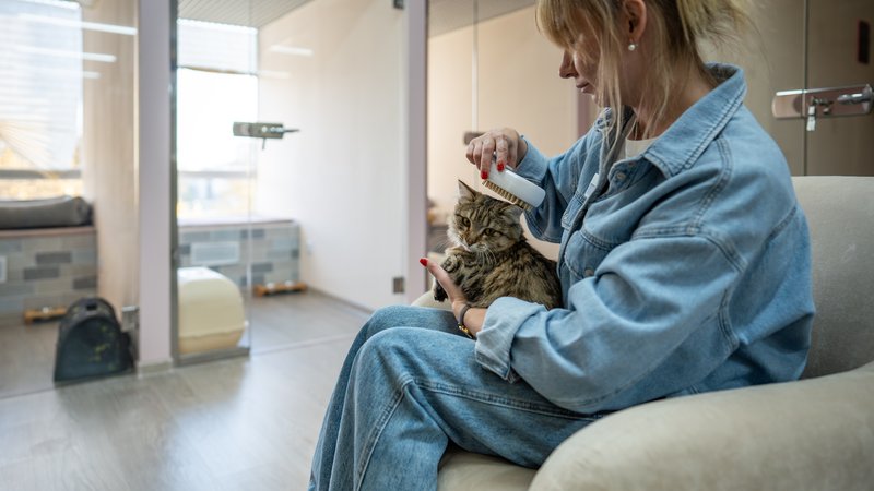 volunteer caring for cat
