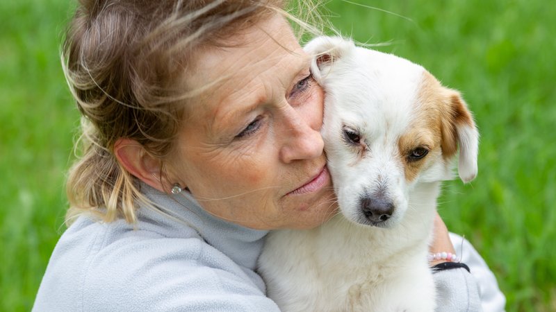 dog adoption by owner