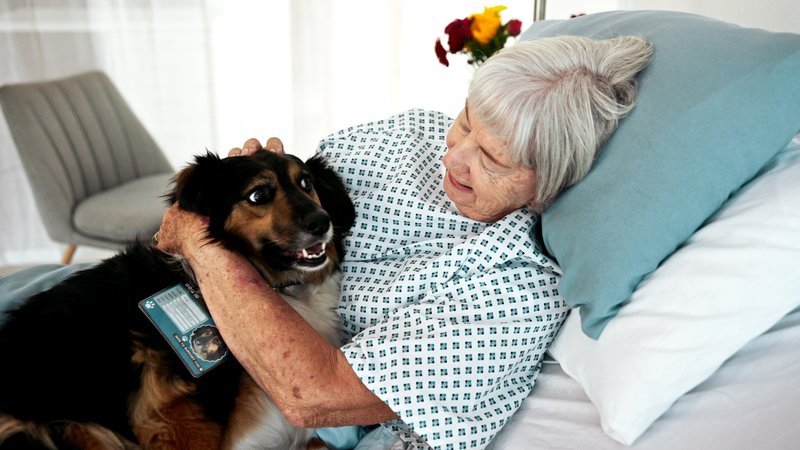 therapy dog with patient