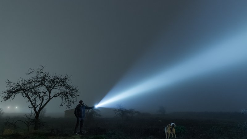 lost dog search at night