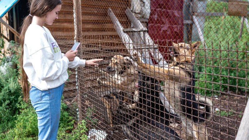wild animal rescue at home