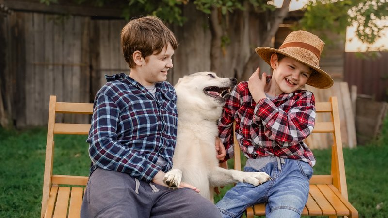 brothers playing with dog