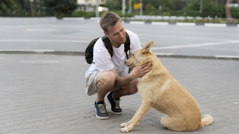dog reunited with owner