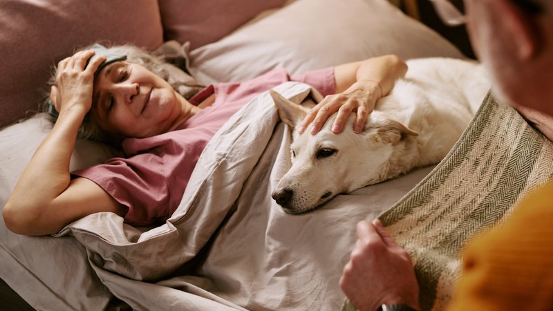 woman comforting sick dog