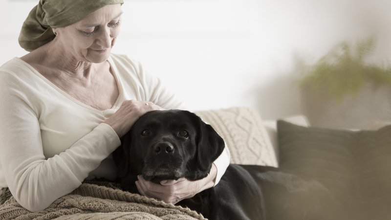 woman comforting sick dog