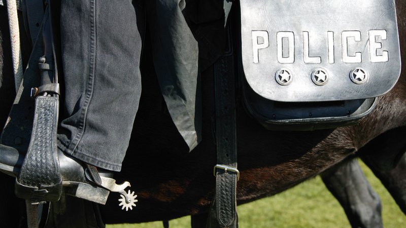 police horse on city street