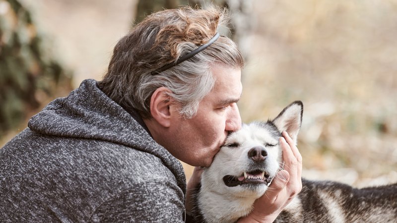 elderly dog with owner