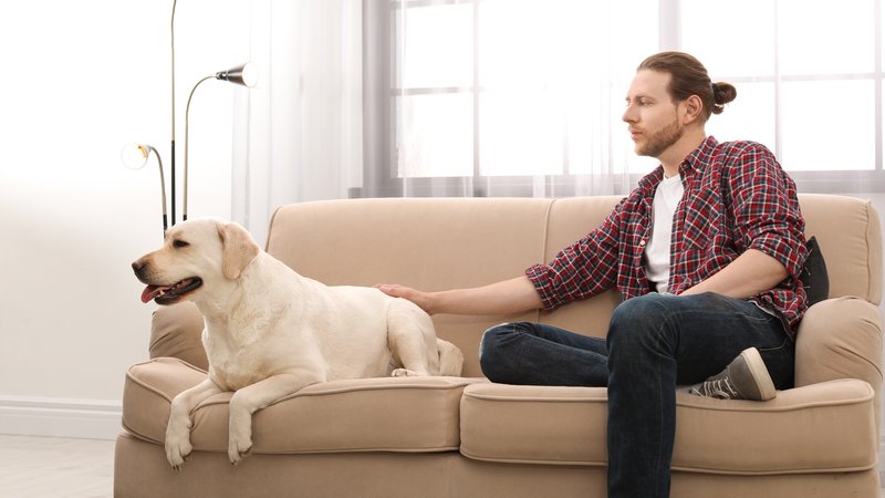 man with schizophrenia and dog