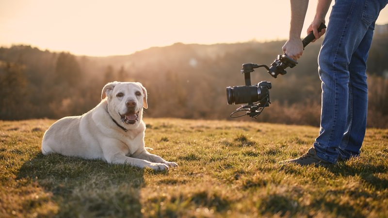 dog owner filming dog