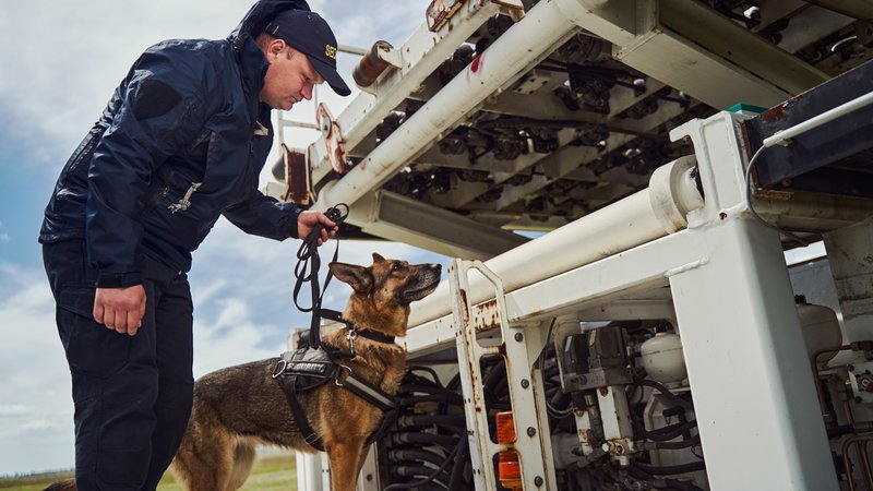 drug detection dog working