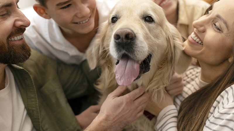 happy dog with family