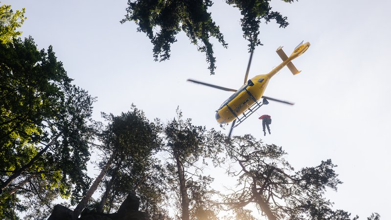 dog rescue by helicopter