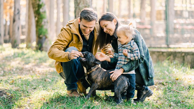 rescue dog with family
