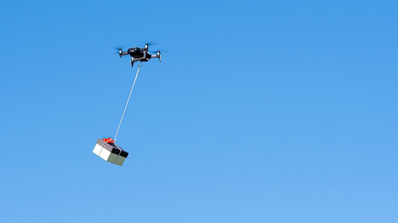 drone carrying dog and cat