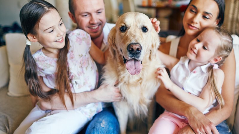 dog and family love