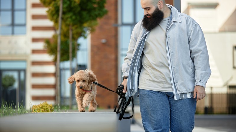 dog owner walking pet