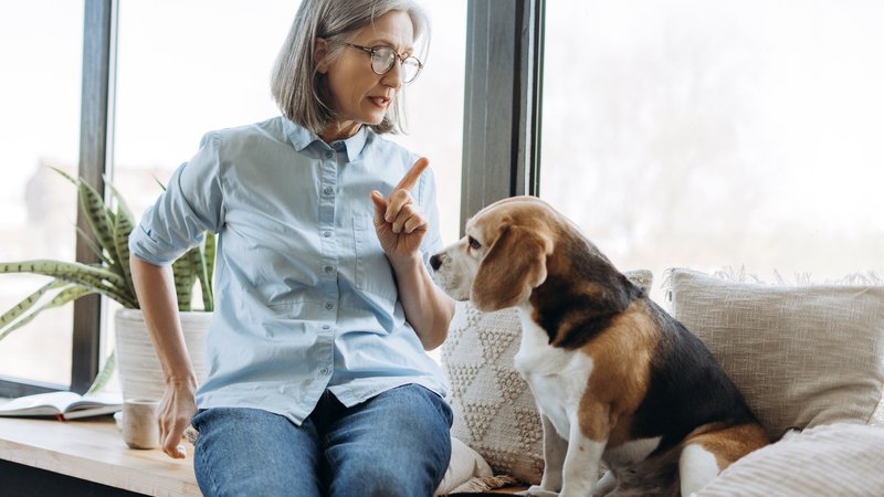 woman speaking with therapy dog