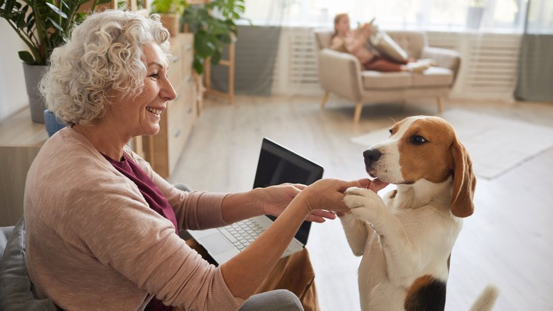 dog in senior living facility